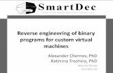 Reverse engineering of binary programs for custom virtual machines