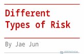Different types of risk