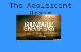 The adolescent brain presentation module 3