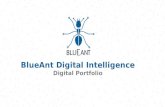BlueAnt Digital Intelligence: Services and Case Studies