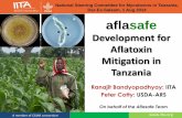 Aflasafe development for aflatoxin mitigation in tanzania national steering commitee meeting