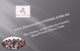 The History of the Ohh-So-Yummy Black Forest Cherry Torte