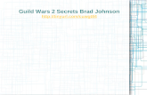 Guild Wars 2 Secrets Brad Johnson