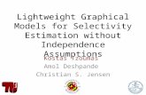 lightweight graphical models for selectivity estimation without independance assumption