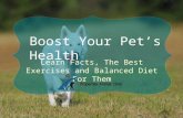 Boost Your Pet's Health