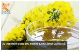 10 important facts you need to know about canola oil