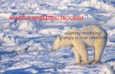 Adaptive marketing program