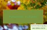 Plant polyploids