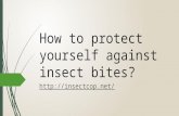 How to protect yourself from mosquitoes