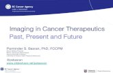 Imaging in cancer therapeutics 2015
