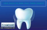 Fast Facts to Keep your Teeth Intact - Clean Guard