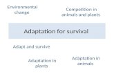 B1.4  -_adaptation_for_survival