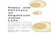Power and Politics in Organizational Life