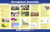 Germplasm assembly