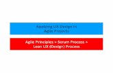 Agile and UX Design_2015