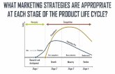 What Marketing Strategies Are Appropriate at Each Stage of Product Life Cycle