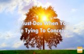 4 Must-Dos When You Are Trying to conceive
