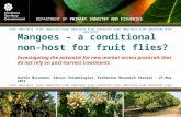 Mangoes – a conditional non-host for fruit flies? - Presentation from the 10th Australian Mango Conference