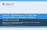 Terahertz Spectroscopy for the Solid State Characterisation of Amorphous Systems