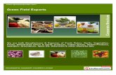 Green Field Exports, Jodhpur, Fresh Onion
