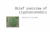 Brief overview of cryptoeconomics