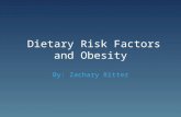 Risk factors and obesity