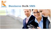 Business Bulk SMS