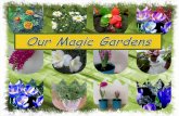 Magic gardens