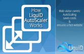 LiquiD AutoScaler - How it Works