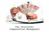 Pay structures -  compensation management - Manu Melwin Joy