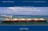 Brookings Issue Brief: An Assessment of U.S. Natural Gas Exports