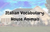 Italian Vocabulary Words: House Animals