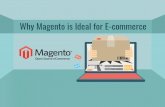 Why magento-is-ideal-for-ecommerce