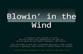 Blowin in the_wind_