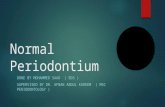 Normal periodontium