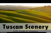 Tuscan Scenery