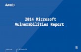 Microsoft Vulnerabilities Report 2014