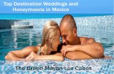 Destination Wedding & Honeymoon in Mexico ~ Grand Mayan Los Cabos