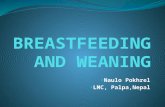 Breastfeeding and weaning