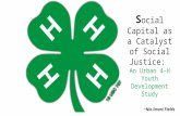 Social capital and 4 h