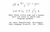 SIGNWRITING SYMPOSIUM PRESENTATION 50: SignWriting & Nicaraguan Sign Language (ISN) Grammar by James Shepard-Kegl