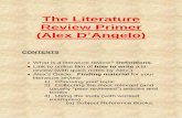 The literature review primer 2015