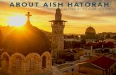 Richard Horowitz: About Aish HaTorah