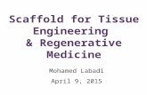 Tissue Engineering & Regenerative Medicine