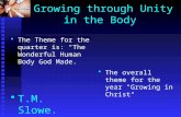 Growing through unity in the body