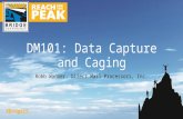 DM101: Data Capture & Caging (DMP)