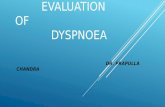 evaluation of dyspnoea