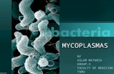 Mycoplasma by aslam matania