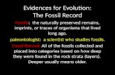 Evolution: Fossil Record Evidence