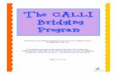 The calli bridging programme